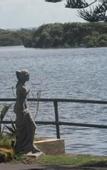 Туры в отель Black Swan Waterfront Motel