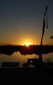 Туры в отель Black Swan Waterfront Motel