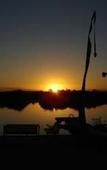 Туры в отель Black Swan Waterfront Motel