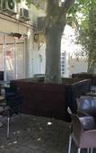 Туры в отель The Civic Hotel