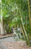 Туры в отель Tiarri Terrigal