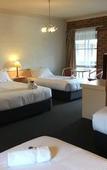 Туры в отель Bega Downs Motor Inn