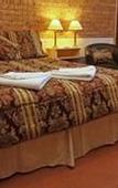 Туры в отель Bega Downs Motor Inn