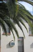 Туры в отель El Toro Motel