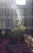Туры в отель Mantra Castle Hill Sydney