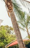 Туры в отель BIG4 Melbourne Holiday Park