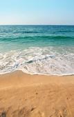 Туры в отель Buccaneer Motel Pet friendly