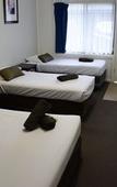 Туры в отель Rosebud Motel
