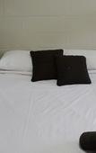 Туры в отель Rosebud Motel