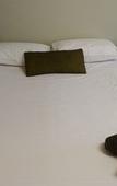 Туры в отель Rosebud Motel