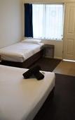 Туры в отель Rosebud Motel