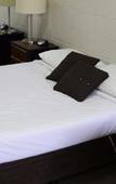 Туры в отель Rosebud Motel