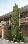 Туры в отель Grand Manor Motor Inn - Queanbeyan