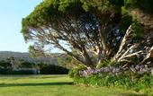 Туры в отель Spring Bay Villas