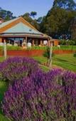Туры в отель Glen Erin At Lancefield - Vineyard Retreat