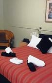 Туры в отель Black Forest Motel