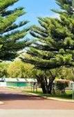 Туры в отель BIG4 Emu Beach Holiday Park