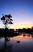 Туры в отель Club Wyndham Ballarat, Trademark Collection by Wyndham