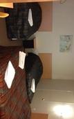 Туры в отель Budget Motel