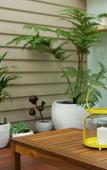 Туры в отель Sunny Side Up B&B