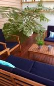Туры в отель Sunny Side Up B&B