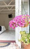 Туры в отель Rosebridge House Bed & Breakfast Adult Retreat