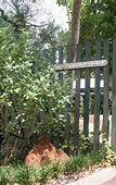 Туры в отель Rosebridge House Bed & Breakfast Adult Retreat