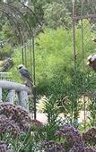 Туры в отель Rosebridge House Bed & Breakfast Adult Retreat