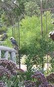 Туры в отель Rosebridge House Bed & Breakfast Adult Retreat