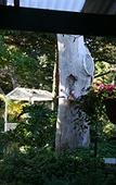 Туры в отель Rosebridge House Bed & Breakfast Adult Retreat