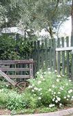 Туры в отель Rosebridge House Bed & Breakfast Adult Retreat
