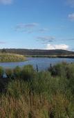 Туры в отель Idlewilde Country & Town Motorinn