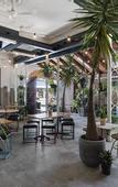 Туры в отель The Local Hotel
