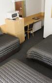 Туры в отель Mid City Motor Inn
