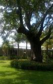 Туры в отель The Swan Valley Hotel