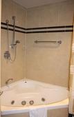 Туры в отель The Swan Valley Hotel