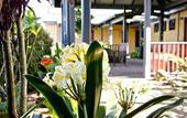 Туры в отель Vintages Accommodation