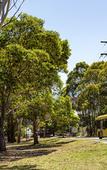 Туры в отель Quest Macquarie Park