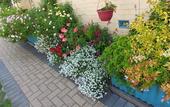 Туры в отель 1849 Backpackers Hotel