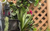 Туры в отель 1849 Backpackers Hotel