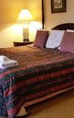 Туры в отель Darcys Hotel at Homebush