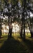 Туры в отель Moruya Motel