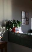 Туры в отель Halfway Motel, Eden