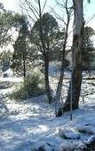 Туры в отель Cooma High Country Motel