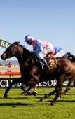 Туры в отель Hawkesbury Race Club Motel