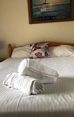 Туры в отель Squid Ink Motel