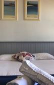 Туры в отель Squid Ink Motel