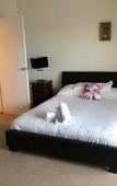 Туры в отель Squid Ink Motel