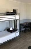 Туры в отель Squid Ink Motel