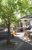 Туры в отель The Stirling Arms Hotel